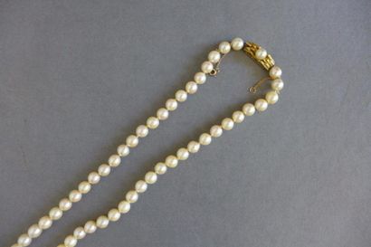 null Sautoir de perles de culture choker (le fermoir en or jaune 18 k (750 millièmes)...