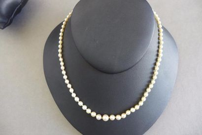 null Collier de perles de culture en chute, le fermoir en or gris 18 k (750 millièmes)...