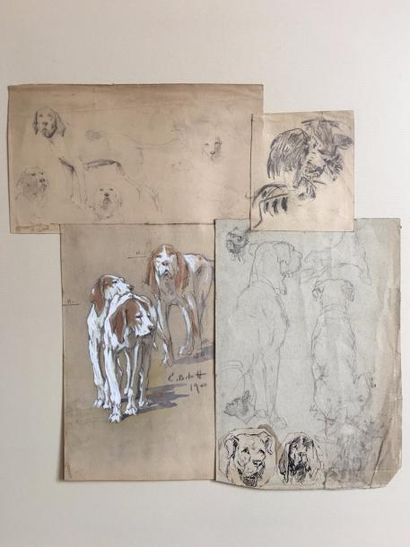 null C. BRAU-SIMON (XIX-XX)

Collage, études de chiens

Encre, mine de plomb et aquarelle,...