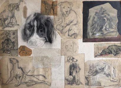 null C. BRAU-SIMON (XIX-XX)

Collage, étude d'animaux

Mine de plomb, aquarelle,...