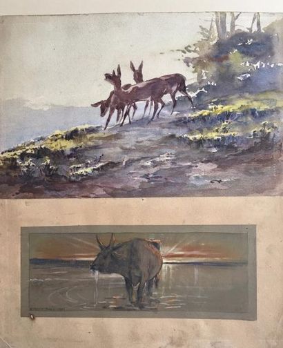 null C. BRAU-SIMON (XIX-XX)

Etude de biches et etude de vache indienne

Aquarelles,...