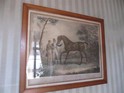 null D'après Carle VERNET (1758-1836)

"Cheval allant au manège" et "cheval échappé"...