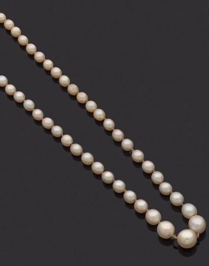 null COLLIER de perles de culture.
Fermoir or 18k (750 millièmes)
Poids brut: 11,8...