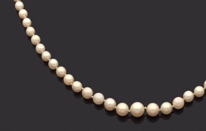null COLLIER de perles de culture en chute, fermoir en or jaune 18k (750 millièmes)...