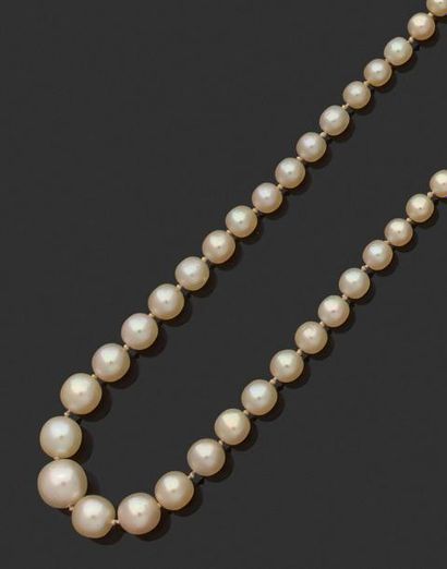 null COLLIER de perles fine en chute, fermoir en or gris 18k (750 millièmes) serti...
