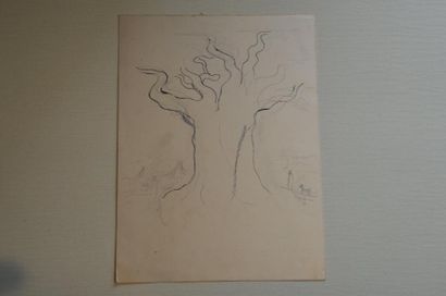 null Philippe DAUCHEZ (1900 - 1984)

5 dessins :
[SENEGAL] Jeune femme, Etude d'arbre,...