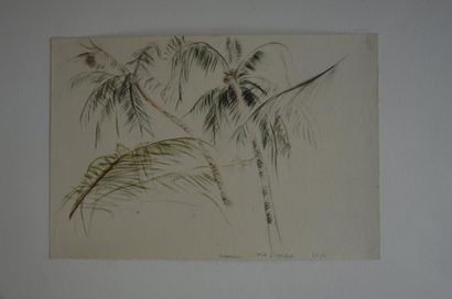 null Philippe DAUCHEZ (1900 - 1984)

6 dessins :
[COLOMBO] Etude de cocotiers (annoté...