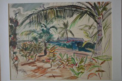 null Philippe DAUCHEZ (1900 - 1984)

2 dessins :
[SINGAPOUR] Plantation, Palmier...
