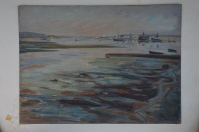 null Philippe DAUCHEZ (1900 - 1984)

[BRETAGNE] Estuaire (petits accidents)

Panneau

45...