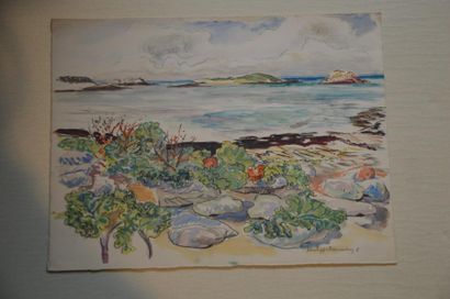 null Philippe DAUCHEZ (1900 - 1984)

[BRETAGNE] Rochers et algues

Crayon, aquarelle...