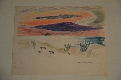 null Philippe DAUCHEZ (1900 - 1984)

10 dessins :
[MEXIQUE] Rochers et île volcanique...