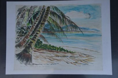 null Philippe DAUCHEZ (1900 - 1984)

[ANTILLES] Ile de La Dominique (annoté)

Aquarelle

44,3...