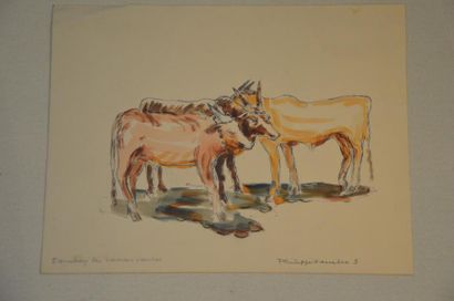null Philippe DAUCHEZ (1900 - 1984)

11 dessins :
[BOMBAY] Etraves de bâteau, Vaches....