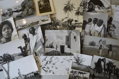 null [SENEGAL-POLYNESIE-SOMALIS] 

Lot de photographies (20)