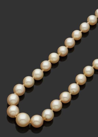 null COLLIER de perles de culture, fermoir en or gris 18 k (750 millièmes).
Longueur:...