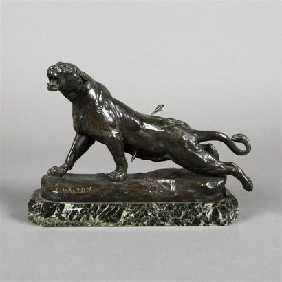 Charles VALTON (1851-1918) Lionne blessée
Bronze à patine brune, signé sur la terrasse.
Fonte...