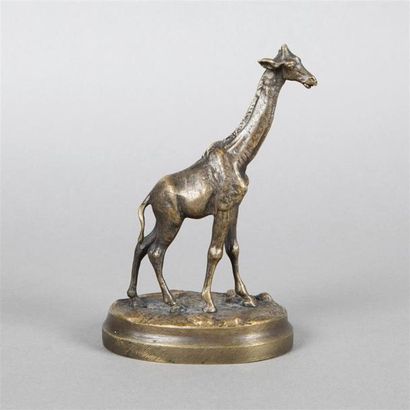 null Statuette de girafe en bronze patiné. Sur un socle ovale.
Fin du XIXe siècle.
Hauteur:...