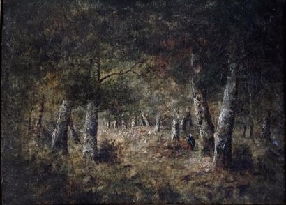 null Théodore ROUSSEAU (1812-1867)

Paysage animé, forêt de Fontainebleau

Huile...
