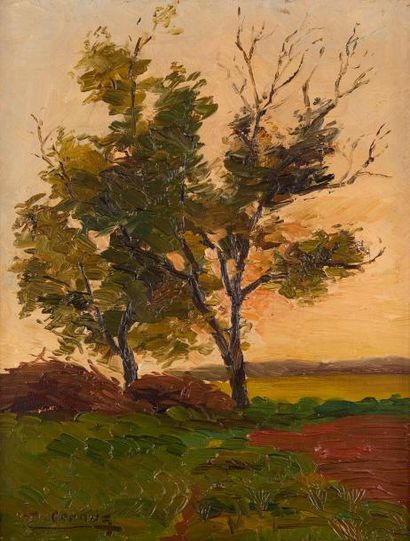 null Désiré CORNUZ (1883-1914)

Paysage aux arbres

Huile sur toile, signée en bas...