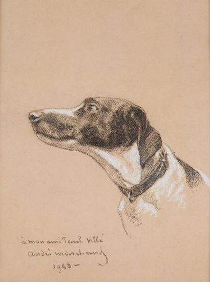 null André MARCHAND (1877-1951) 

Portrait d'un chien de chasse

Pierre noire et...