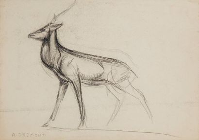 null Auguste TREMONT (1893-1980)

Etude de cerf

Fusain, signé en bas à gauche

26.5...