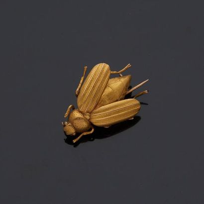 null Broche en or jaune 18 k (750 millièmes) représentant un scarabée (manque une...