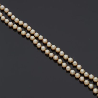 null Collier de perles de culture chocker, fermoir en or gris 18 k (750 millièmes)...