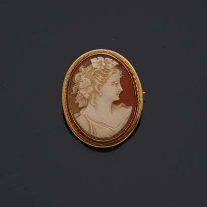 null Broche pendentif en or jaune 18 k (750 millièmes) sertie d'un camée coquille...