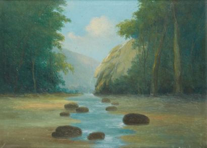 Francisco COCULILO (1895-1978) Rivière et cascade près de Petropolis
Huile sur toile,...