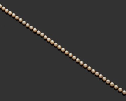 null COLLIER de perles de culture choker, fermoir en or gris 18k (750 millièmes)...
