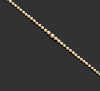 null Collier de perles de culture en chute, fermoir en or jaune 18 k (750 millièmes)...