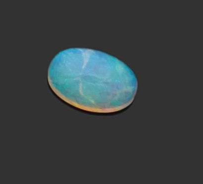 Opale ovale de 2.63 carats.