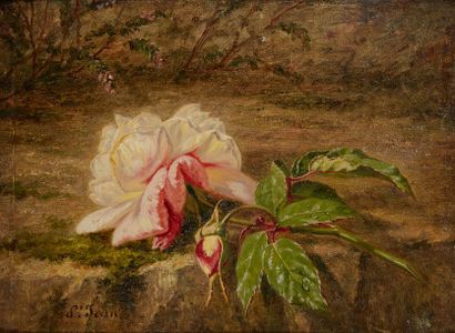 Simon SAINT-JEAN (1808-1860) Branche de rosier
Huile sur carton, signée en bas vers...