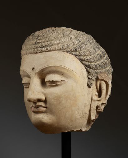 ﻿ Importante tête de Buddha 
Art du Gandhara,...