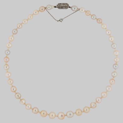 CHAUMET Collier de 43 perles fines de mer, CHAUMET
Collier de 43 perles fines de...