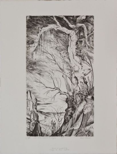 null René IZAURE (1929 - 2014)
Old tree in the mountain
Black etching titled, numbered...