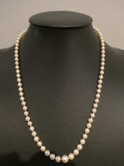 A necklace of tumbling cultured pearls, clasp...
