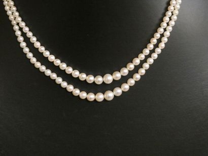 null Necklace with two strands of cultured pearls, silver clasp, hallmarked "charançon"....