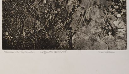 null René IZAURE (1929 - 2014)
September drizzle
Engraving titled and signed in pencil...
