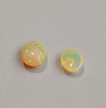null Two opals, one oval cabochon (2.16 carats) the other ovalized (4.2 carats)