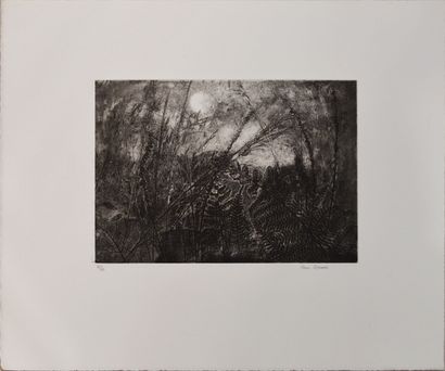 null René IZAURE (1929 - 2014)
Ferns and wheat
Engraving numbered 8/20 and signed...