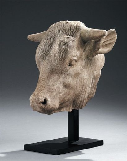 null TÊTE DE TAUREAU. Fragment de statue représentant la tête d'un taureau. Les plis...