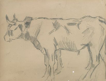 null Vache tête baissée et Vache de profil Deux dessins au crayon sur papier bistre....
