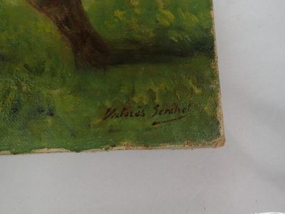 null Victor SENCHET (1879-1973), paysage de montagne aux arbres fleuris, huile sur...
