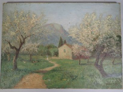 null Victor SENCHET (1879-1973), paysage de montagne aux arbres fleuris, huile sur...