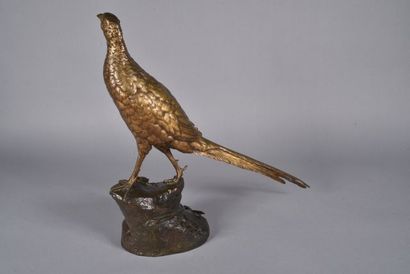 null Léon BUREAU (1866-1906) « Faisan vénéré sur une terrasse ». Bronze à patine...