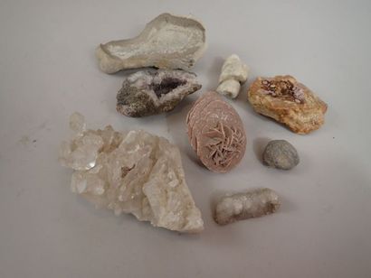 null Lot de pierres et minéraux dont fossile, rose des sables et quartz.