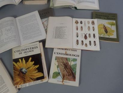 null *Ensemble de 13 ouvrages, dont 1 en allemand, concernant l'introduction à l'entomologie,...