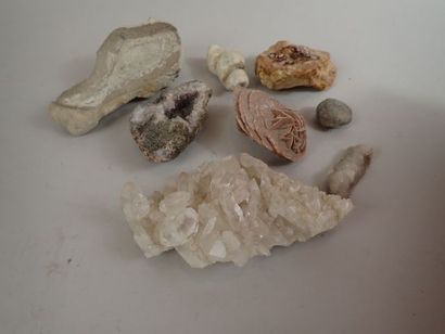 null Lot de pierres et minéraux dont fossile, rose des sables et quartz.