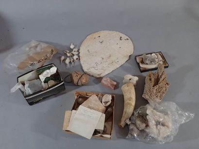 Lot comprenant différents minéraux et échantillons...